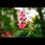 photo_workshop - @harry_workshop - Instagram
