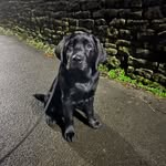 Harry wray - @harrywray6 - Instagram