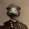 my emu kills kids - @harry2005wrigley - TikTok