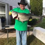 Harry Wunderlich - @wunderlich.harry - Instagram