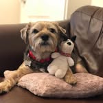 Harry Wynn - @harrywynnbt - Instagram