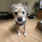 Harry Wynn - Facebook