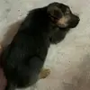 harry yi - @user1880766761781 - TikTok