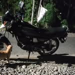 Harry Yonn - @harryyonn - Instagram