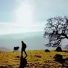 Harshad Deo - @harshaddeo - TikTok