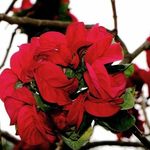 Harshad Mistry - @harshad.mistry.718 - Instagram