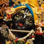 Harshad Mistry - @lalid07 - Instagram
