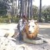 Harshil Joshi - Facebook