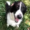 hart.pettit.cool - @hart.pettit.cool - TikTok