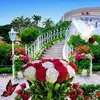 Harun Ali - @harun.ali223 - TikTok