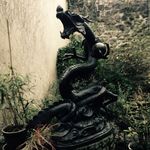 harvey abbott - @tastyhotdog12 - Instagram