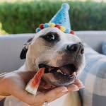 "Lil" Walter Harvey Koch - @lilwalterharvey - Instagram