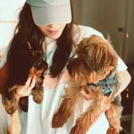 Harvey & Ambrose - @_harveyambrose_ - Instagram