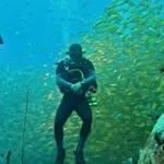 Harvey Ambrose - @aquamanrv - Instagram