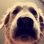 Harvey Archer - @harveyarcherr - Instagram