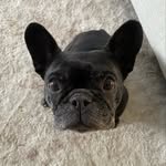 Harvey - @harvey_archerr - Instagram