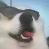 Harvey - @harveydonarcher - TikTok