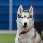 Jack Smith - @harveyashley549 - Instagram