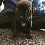 @harveybarrett01 - Instagram
