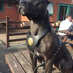 Harvey Barrett - @harvey.barrett.96 - Instagram