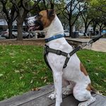 Jean-Ralphio Harvey-Barron - @jean_ralphio720 - Instagram