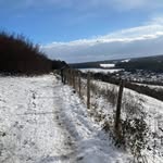 Harvey Bartlett - @harveybartlett1 - Instagram