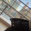 Harvey - @harvey.bateman05 - TikTok