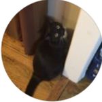 Harvey Belcher Wieck - @boosie_boo_harvey_new_ - Instagram
