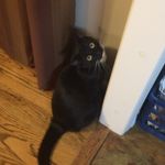 Harvey Belcher Wieck - @boosie_boo_harvey - Instagram