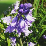 @harveybelcherphotography - Instagram