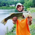 harvey bender - @harveybender - Instagram