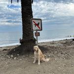 Harvey Benedict - @harveybenedict6 - Instagram