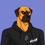 Harvey - @__harvey__bennett__ - Instagram