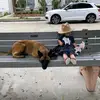 Harvey Benson - @harvey.benson3 - TikTok