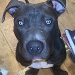 Harvey Berry - @harvey_b_45 - Instagram