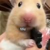 harvey - @harveybinns - TikTok