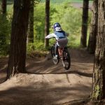 Harvey_birch - @harcqoo - Instagram