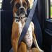 Harvey Bird - Facebook