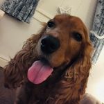 Harvey bird - @_harvey_bird_ - Instagram
