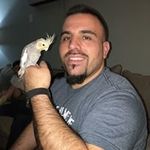 harvey bird - @harvey.bird - Instagram