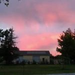 Harvey Bloom - @harvey.bloom.14 - Instagram