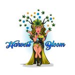 Harvey Bloom - @harvey_bloom_x - Instagram