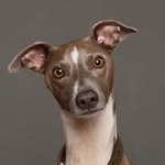 Harvey Blue - @harveyblueparker - Instagram