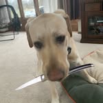 Harvey Blue - @harvey.blue.19 - Instagram