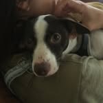 Harvey_Blue - @harveyblue_eyes - Instagram