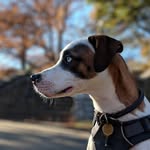 Harvey - @blue_harvey_____ - Instagram