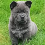 Mister Harvey Blue - @mr.harvey.blue - Instagram