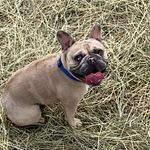 Tim Martin - @harvey_blue_eyes - Instagram