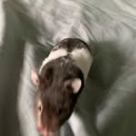 Harvey Bond - @harvey.bond.944 - Instagram
