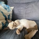 Harvey Bond - Facebook